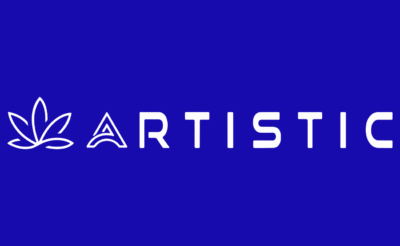 Artistic Logo Design (851 x 315 px)